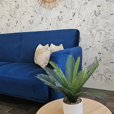 Spacieux Au Pied De La Cite Medievale * 卡尔卡松